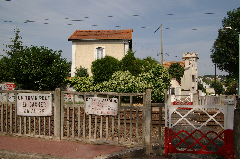 IMGP3481